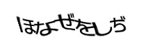Authentication image
